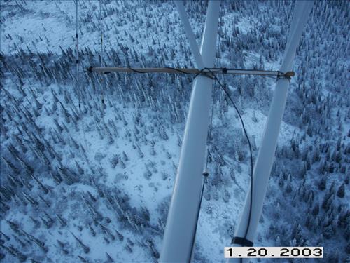 Wolf radio tracking, Denali, 2003/2003