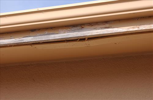 BADL - Housing - Qtrs #30