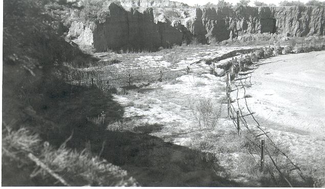 Erosion Control, Plantings in Chaco Wash CR 2 Below Bridge (Fence 2)