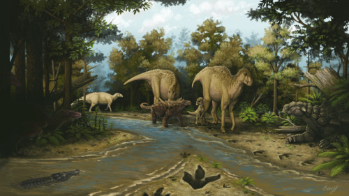 A group of early hadrosauroids, accompanied by a moderate-sized nodosaurid, walk through a coastal forest filled with ferns and early flowering plants (including relatives of modern sycamores and magnolias). A different, much larger nodosaurid (right) and a pair of dromaeosaurids (left) watch from the forest margins, while a goniopholidid ‘croc’ swims through the stream (bottom-left). An assortment of additional dinosaur footprints are recorded in the sediment, including those of other hadrosauroids and dromaeosaurids as well as a large predatory theropod (bottom-center). This scene takes place along the shoreline of the encroaching Western Interior Seaway that would soon cover much of North America, including western Colorado.