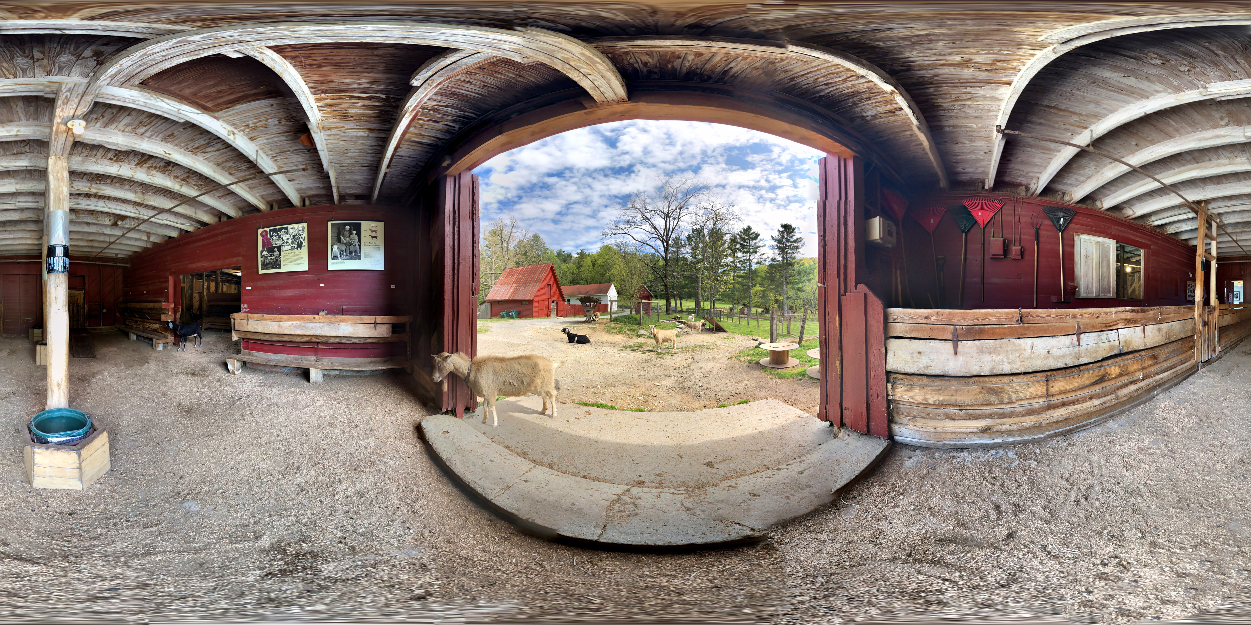 View from the entrance of the goat barn at Connemara Farms.