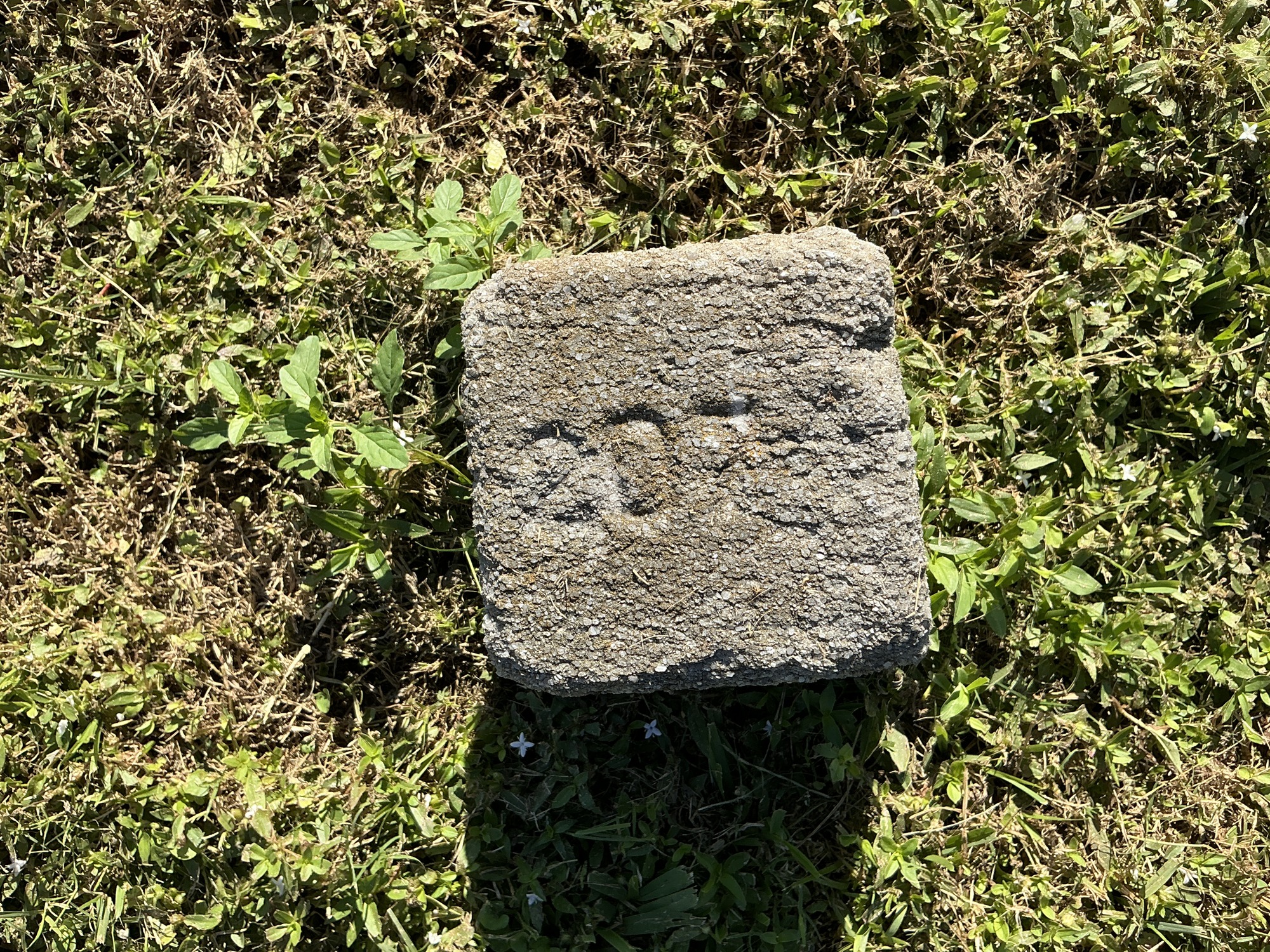 Top of flat marble marker