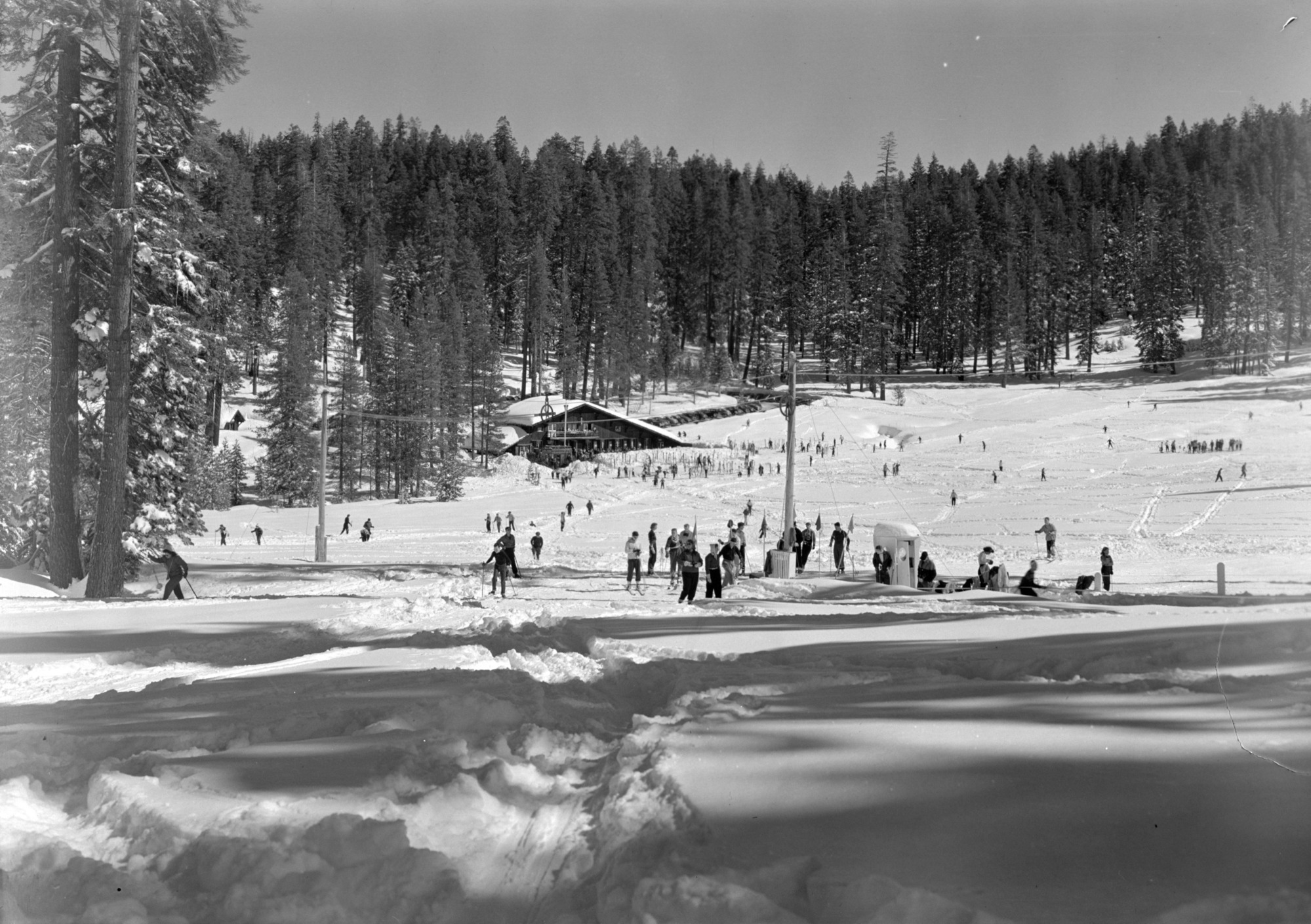 Copy Neg: L. Radanovich, May 1997. Panorama of Badger Pass area.