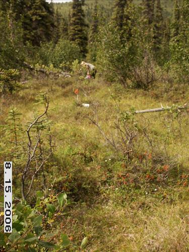 3 Small Mammal Survey in Denali National Park and Preserve in August 2006