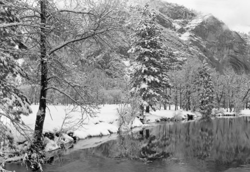 Along the bank of the Merced River after snowfall.
