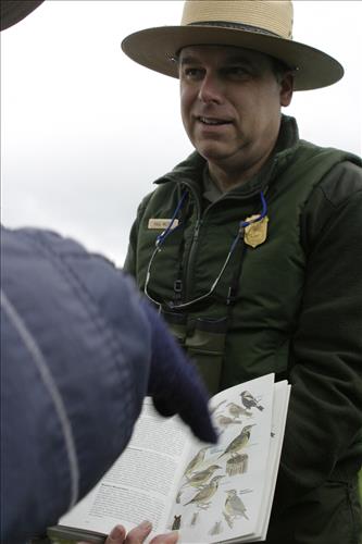 Bird watching at Coliseum site