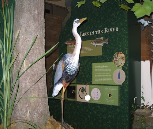 Sustainable Practices NERI IMG_3782