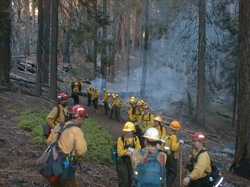 Circle wildfire used for resource benefit, Sequoia and Kings Canyon National Parks, summer 2002