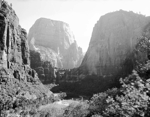 Great White Throne and Big Bend, from talus up canyon near the Temple of Sinawava.