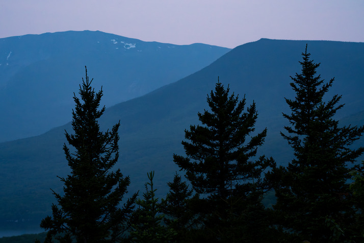 Blue tinted mountains behind pines in silhouette.