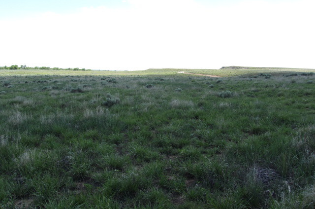 An open prairie with a dirt road in the middle.