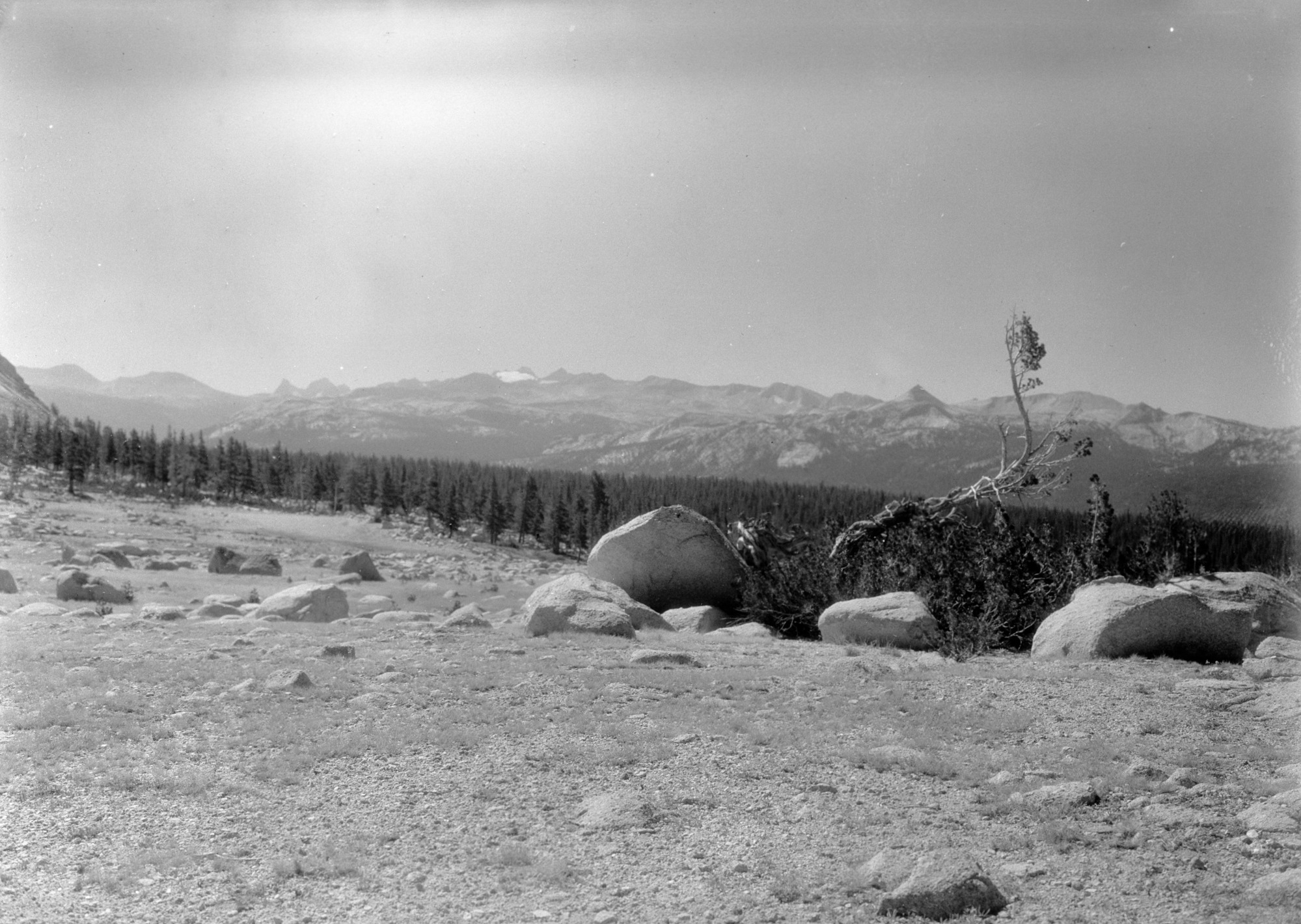 Mt. Lyell, Mt. Banner & Mt. Ritter from Conness trail.
