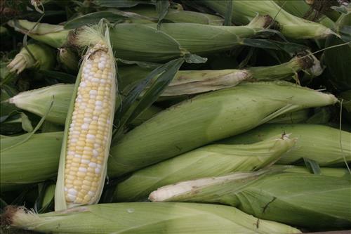 Countryside Farmers' Market produce