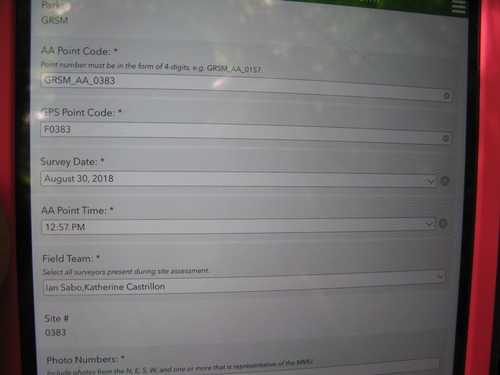 GRSM Accuracy Assessment. Plot Code: GRSM_AA_0383_1