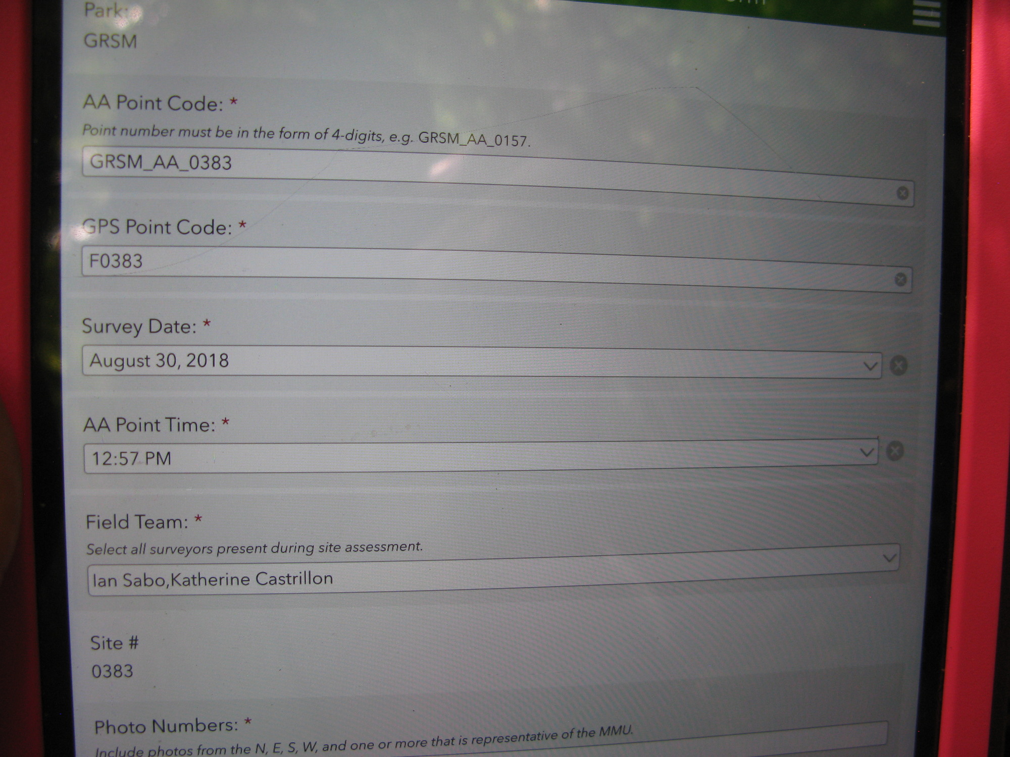 GRSM Accuracy Assessment. Plot Code: GRSM_AA_0383_1