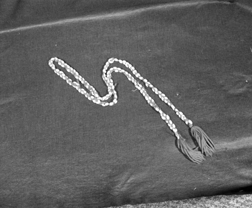 Marie Rozier Collection, Catalog No. 142. Object: Miwok olive shell rope. Dimensions: 64". Materials: Olivella shells, black thread, red yarn. Collection History: Made by Mrs. Louise Fuentes in 1950s. Shells were once the property of her sister, Carmelita Ralph. Photographed by Michael Dixon in December 1982. Catalogued by Craig Bates and Barbara Beroza. Yosemite Collections, National Park Service.