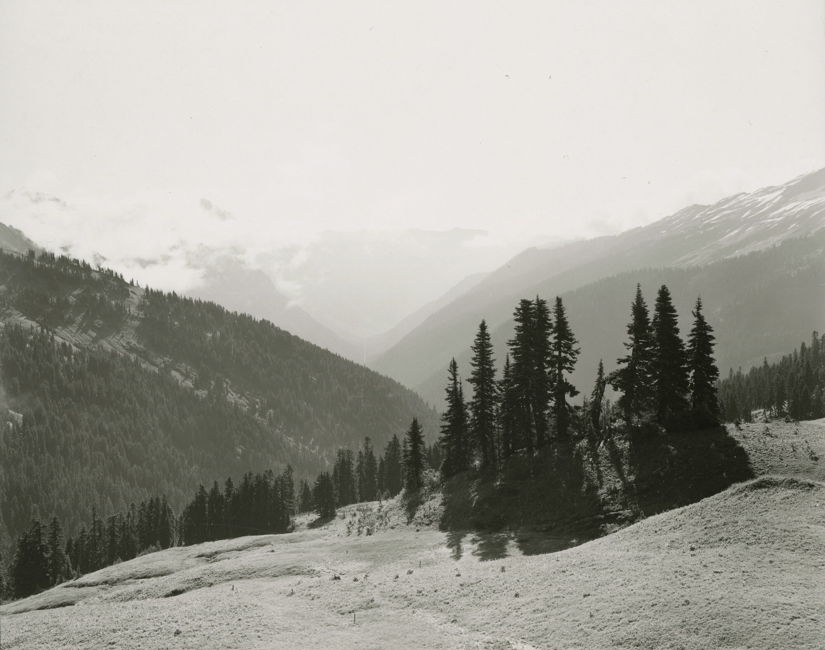 A grassy mountain clearing with conifers bordering and a view into a mountain valley.
