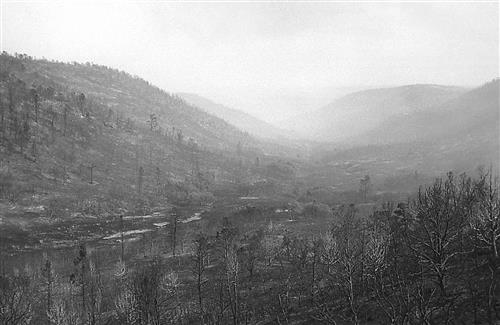 Burned areas immediately following the Bircher fire, Mesa Verde National Park, July 2000