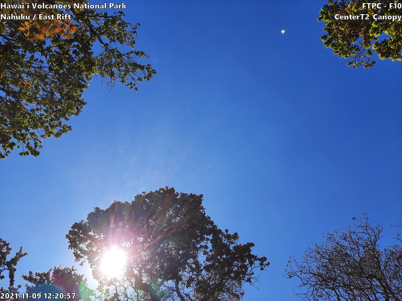 Eye-level view of plant community at monitoring site
