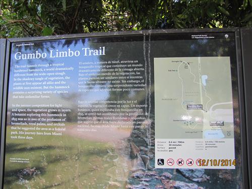 Gumbo Limbo Trail Dec 2014 01