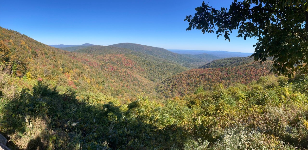 Fall reds and yellows seen from an overlook.
