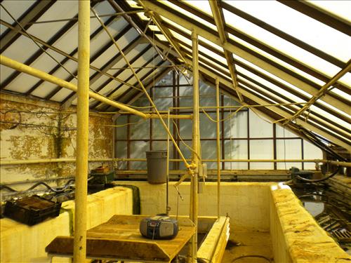 Pre-construction conditions of Aquatic Gardens Historic Greenhouses 1, 2, and 3 in October 2010