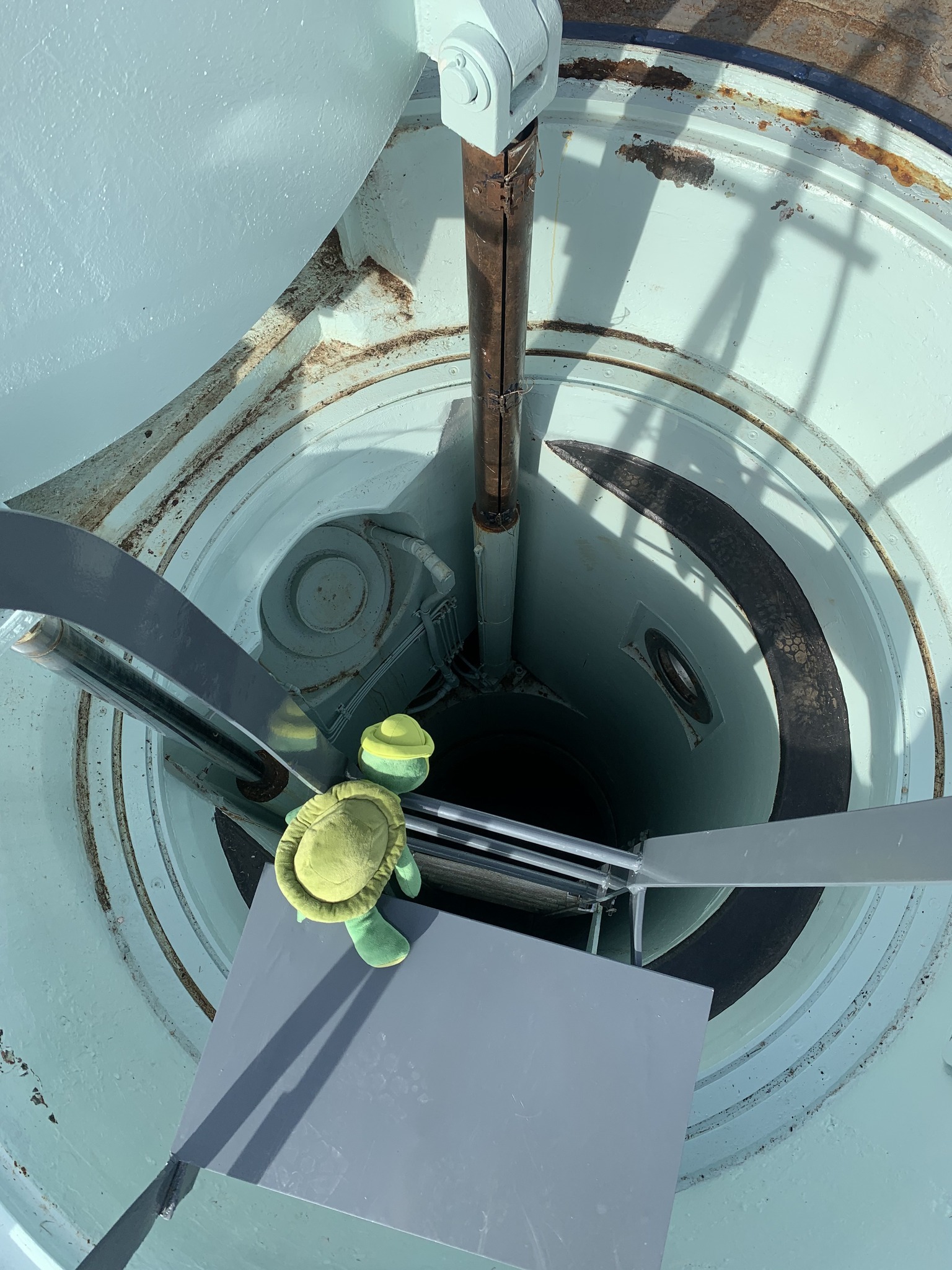 Plush green turtle looks down past an open hatch into the shaft in the ground from on top of a ladder. 