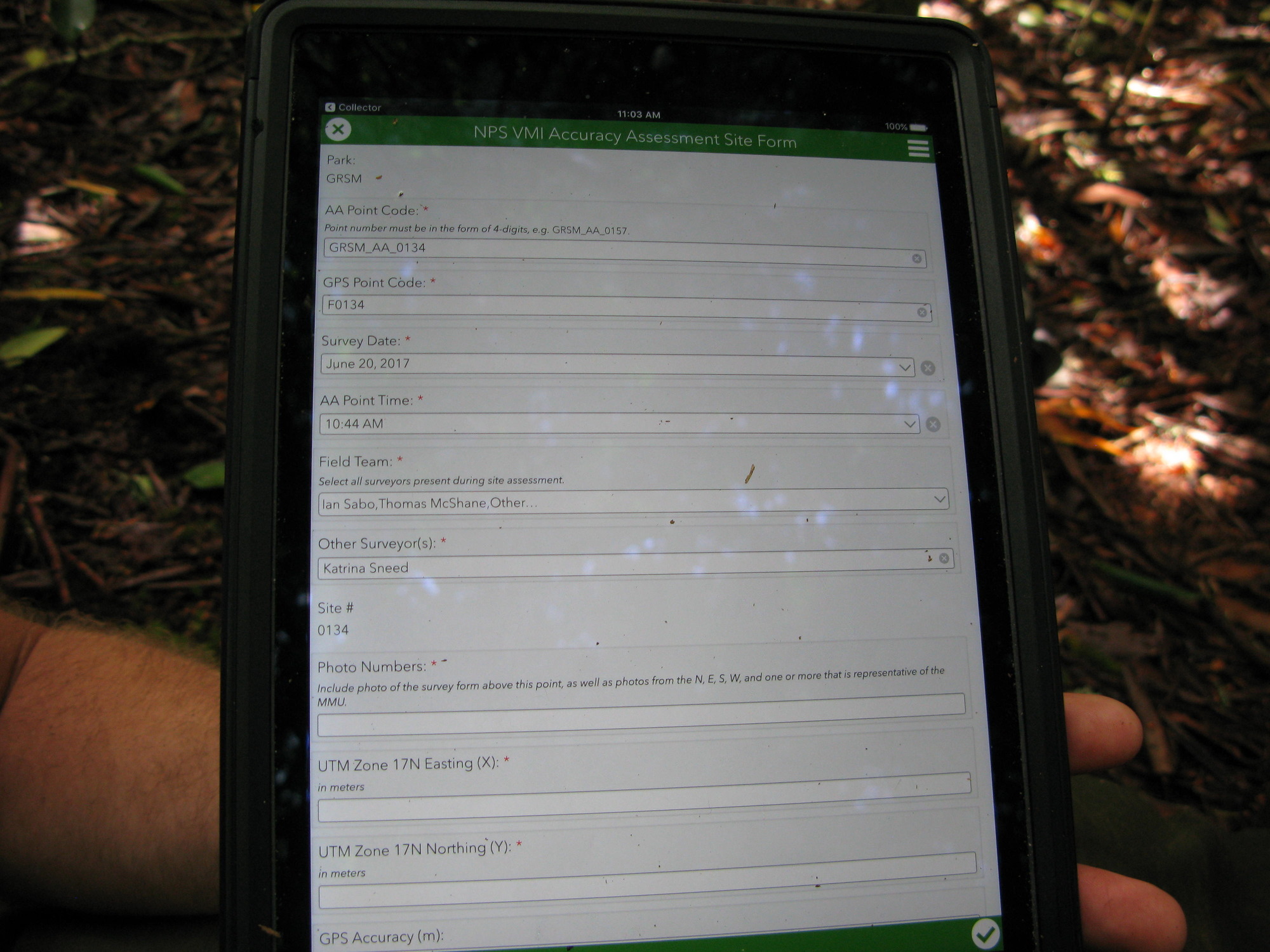 GRSM Accuracy Assessment. Plot Code: GRSM_AA_0134_1