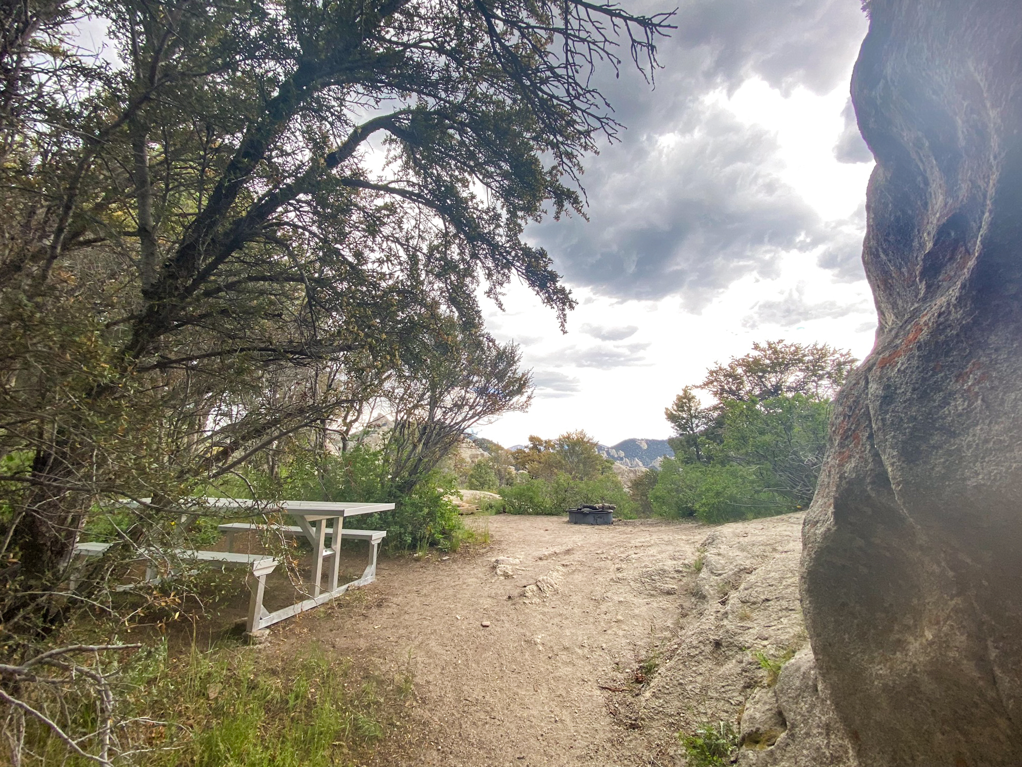 Picnic table next to a mahogany tree with a fire ring in an open sandy area beyond.