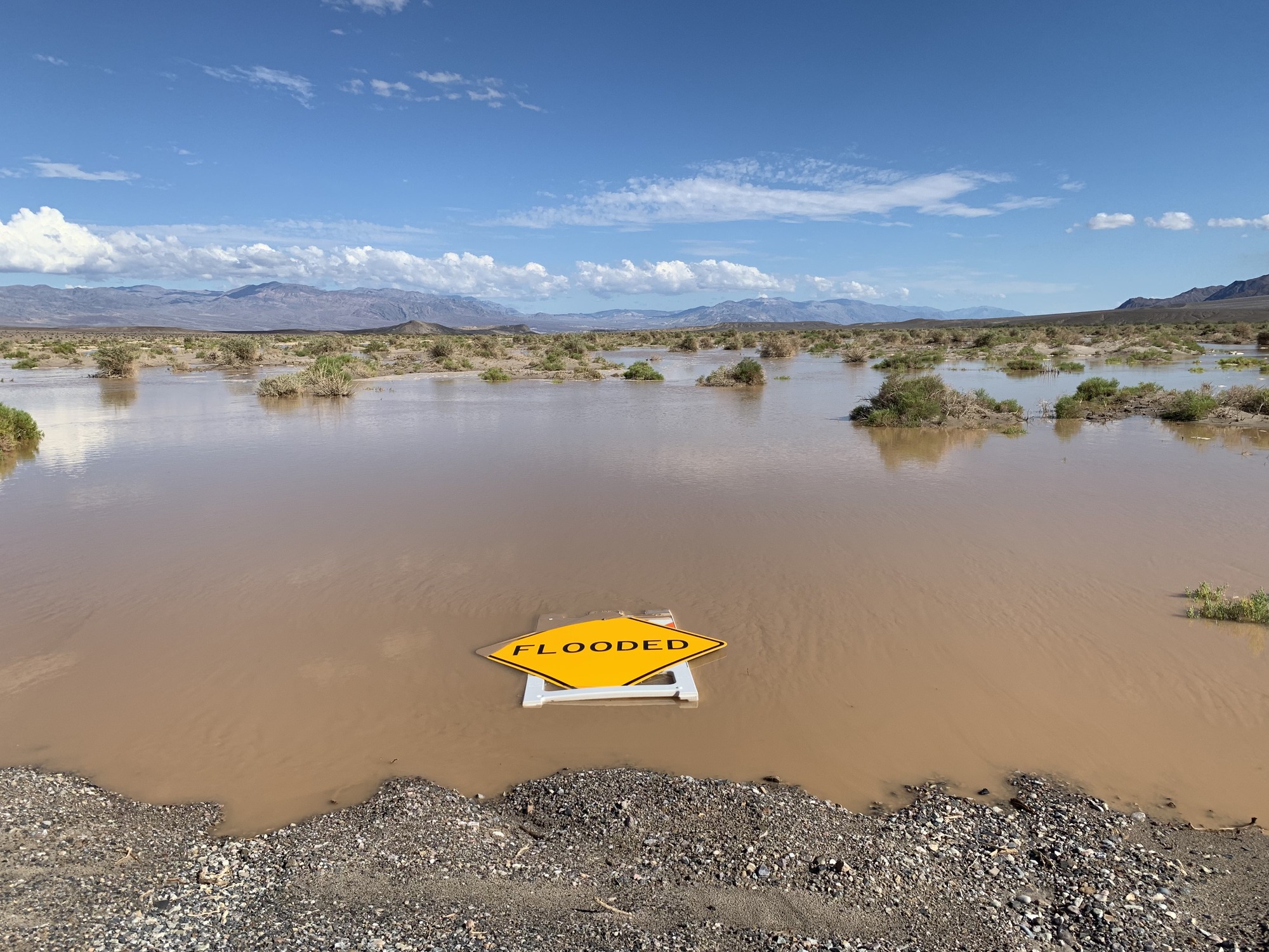 a yellow sign that says flooded floating in water in a desert environment