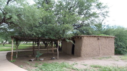 mud house and shade ramada with overhanging mesquite tree