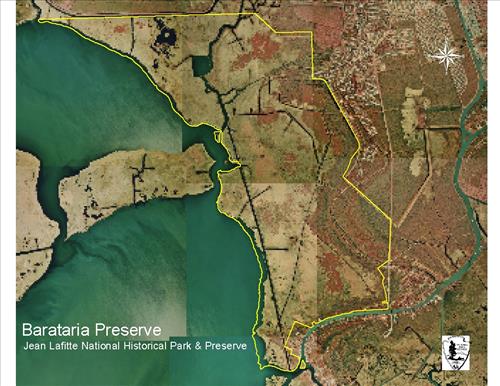 Barataria Preserve Floating Marsh