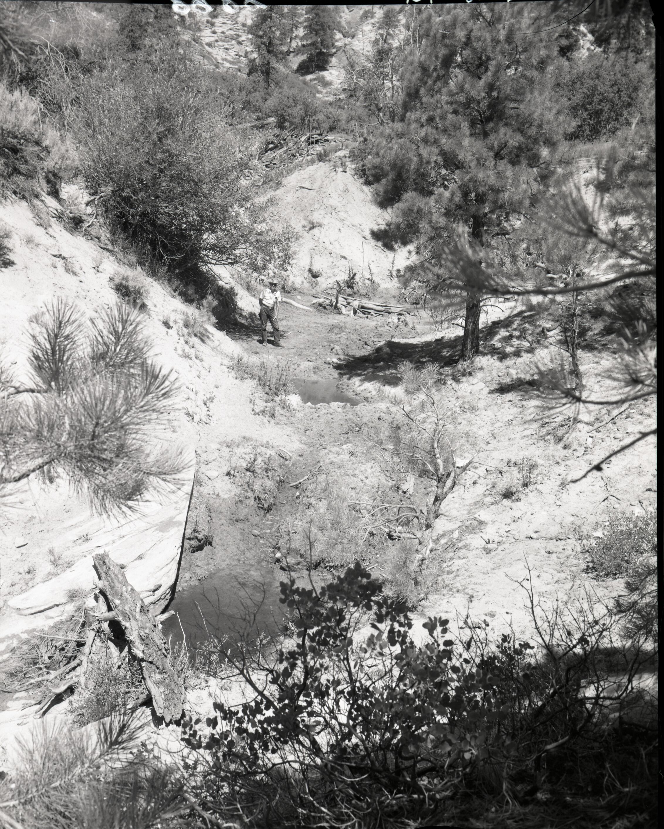 Vandalism of natural resources at Neck Spring, 3 small tanks. Water matters involving Evan S. Lee.