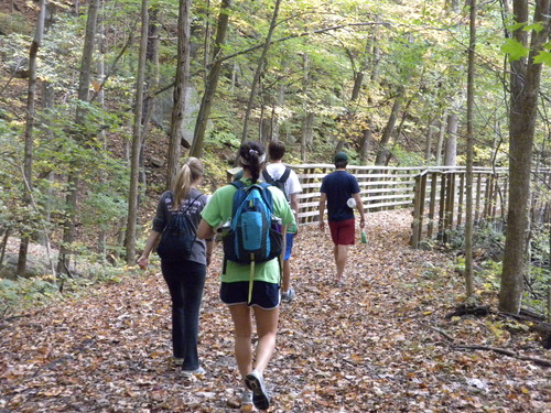 hikers approach a wooden footbridge