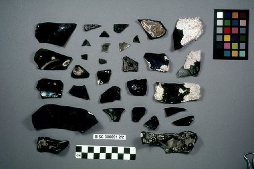 BISC  300591 -- Vessel Fragment