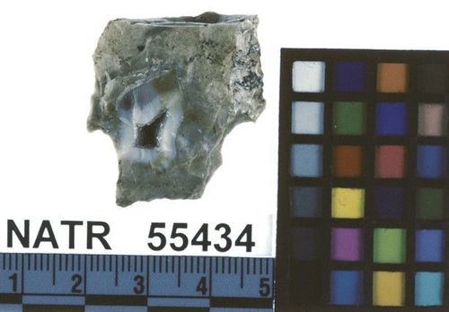 NATR   55434 -- Untyped projectile point