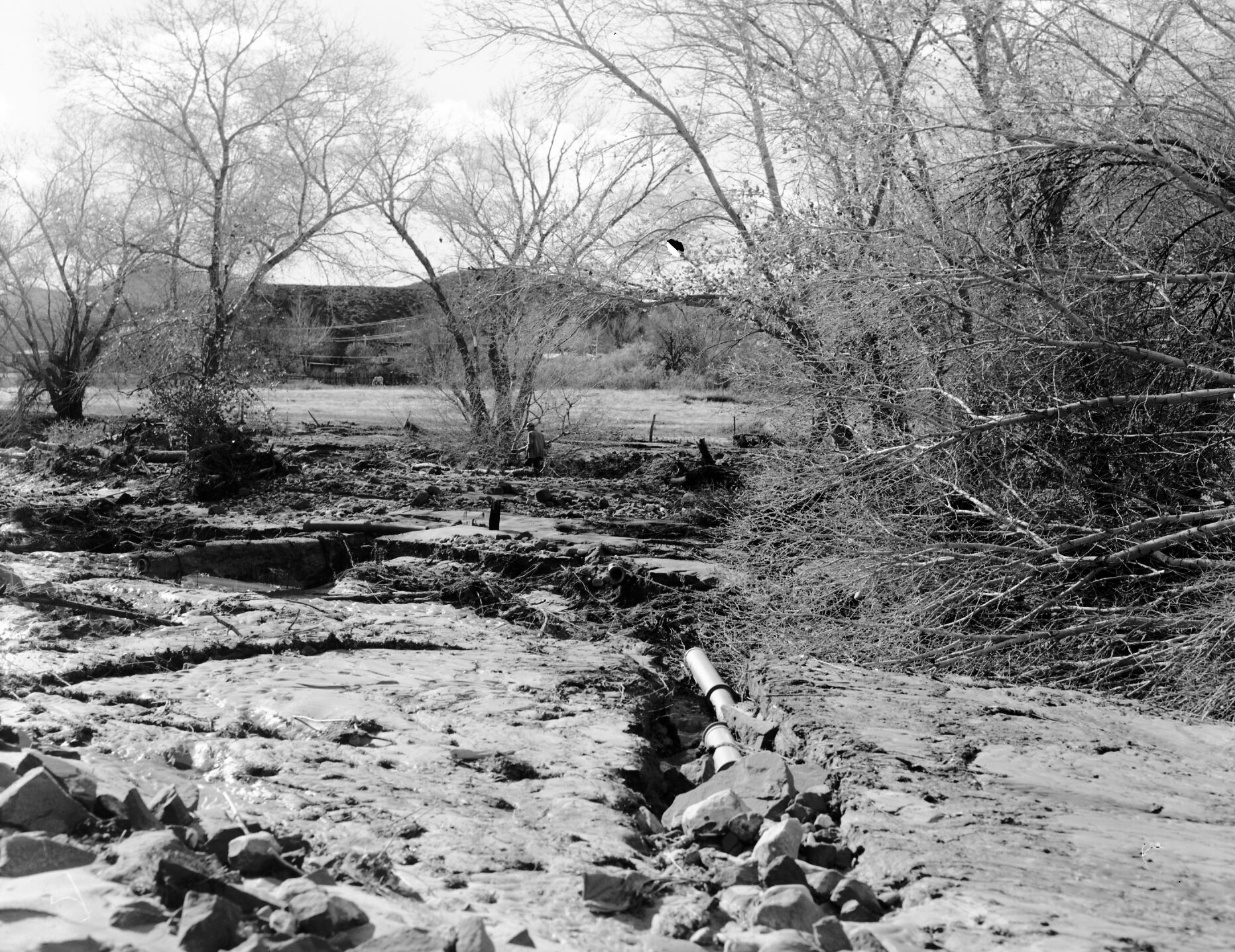 Flood damage - at outlet of sewage system from treatment plant near amphitheater of Watchman campground.