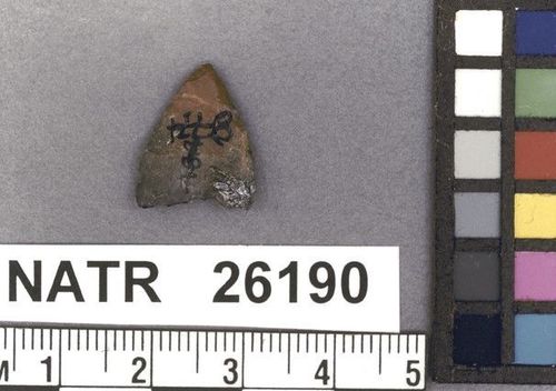 NATR   26190 -- Late Woodland / Miss Triangular Cluster projectile point