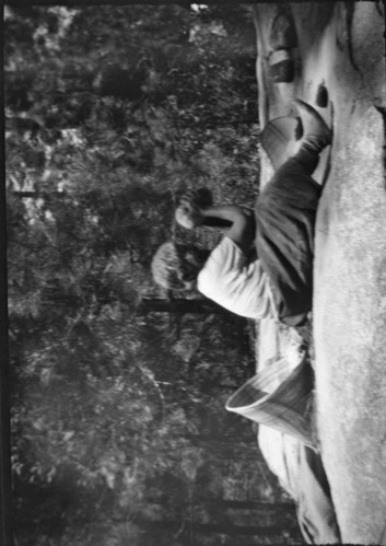 Gift of Wm. M. Sell Jr. Copy of YNP Collections #17,295.