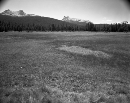 View of peaks from Tuolumne Meadows. For sketch of landscape for nature trail leaflet. [Photo for profile sketch].