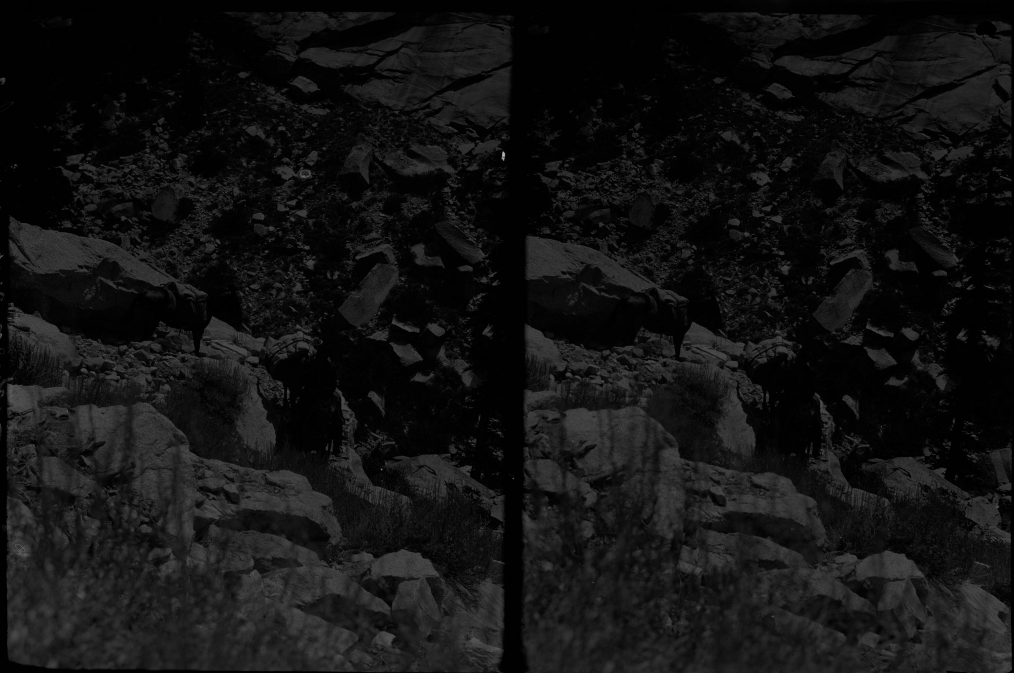 SEKI Roberts Collection Series: 2 Negatives; 15 Stereographs