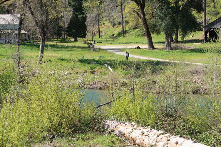 A visitor enjoying the Camden Water Ditch.