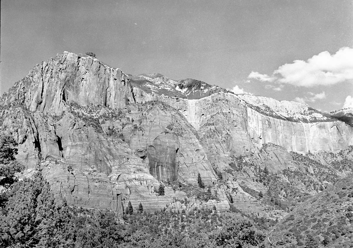 Taylor Creek with massive Navajo sandstone wall above drainage.