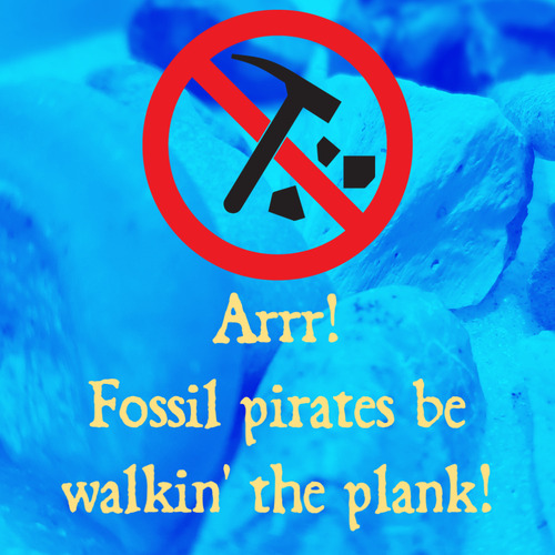 Blue tinted scattered fossils, with text overlay reading "Arrr!  Fossil pirates be walkin' the plank!" and a red circle with line through it over a pick axe.