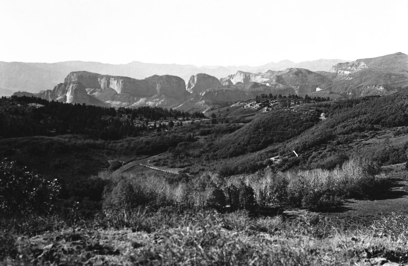 Kolob peaks with road in foreground.