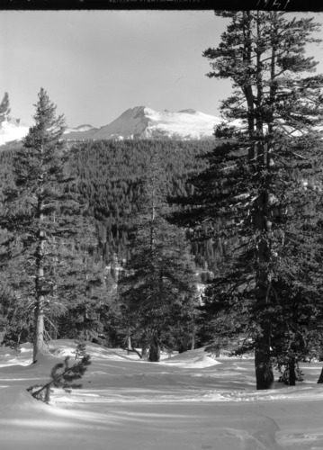 Unnamed peak near Tuolumne Meadows.