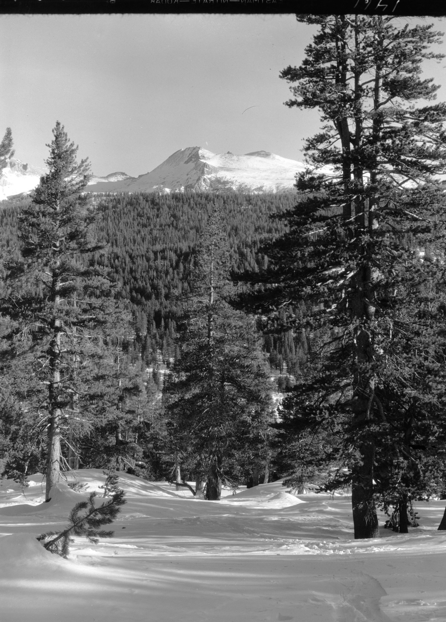 Unnamed peak near Tuolumne Meadows.