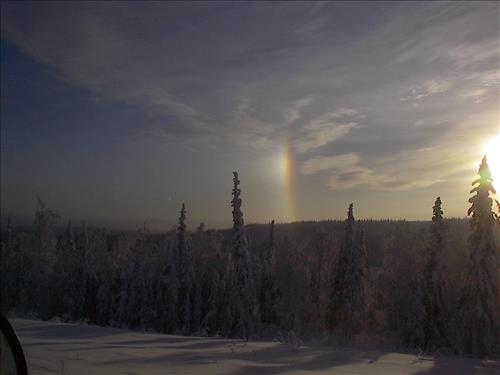 2 Gates of the Arctic National Park and Preserve Hares Survey 2004