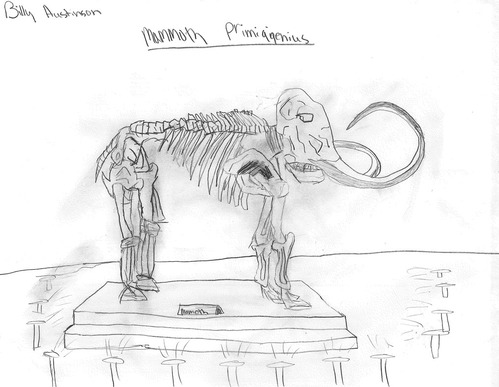 A pencil drawing of a mammoth on paper.