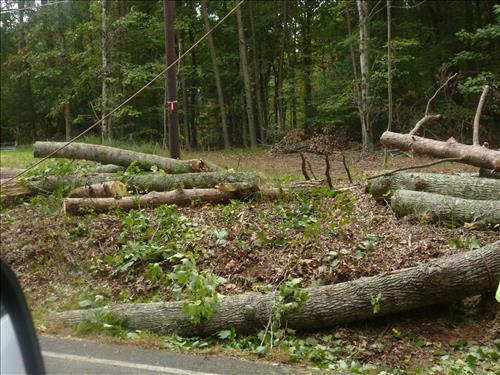 Chopawamsic Access Contract Mod in Prince William Forest Park in September 2014